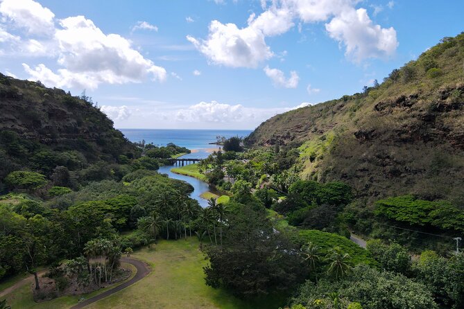 Customizable Private Tour Oahu- Ko Olina Resorts Pick Up Included - Diamond Head: quick lookout now, optional summit later