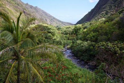 Day Trip Oahu to Maui: Sips, Sites and Bites - Haleakala National Park: crater views, 9,740 feet, and what to bring