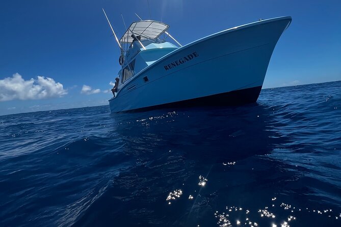Deep Sea Exclusive Fishing Charter in Honolulu - Fish Targets in Honolulu: From Mahi Mahi to Possible Blue Marlin