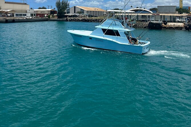 Deep Sea Shared Fishing Charter in Honolulu - What you’re fishing for (and why the species list matters)