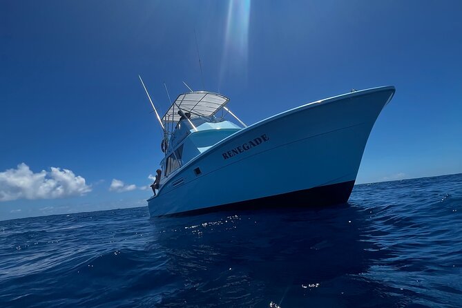 Deep Sea Shared Fishing Charter in Honolulu - 4, 6, or 8 hours: how time changes your odds and your comfort