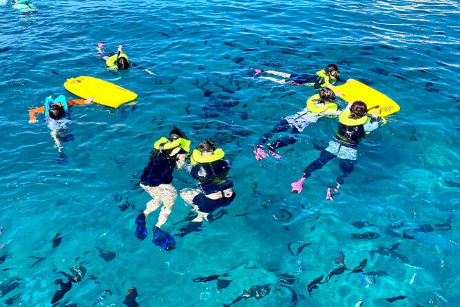 Deluxe Turtle Snorkeling Escapade at Waikiki - What Your Water Time Feels Like: Options, Not Pressure