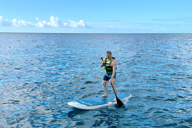Deluxe Turtle Snorkeling Escapade at Waikiki - Crew Support That Helps You See More (and Get Better Photos)