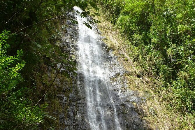 Diamond Head and Manoa Falls Hike and Adventure Tour - Diamond Head State Monument: famous crater views without overplanning