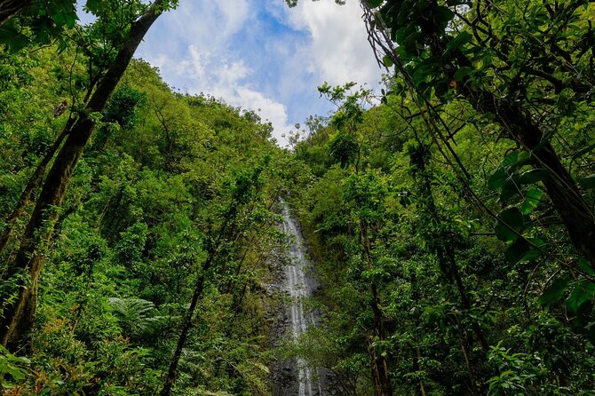 Diamond Head and Manoa Falls Hike and Adventure Tour - Snacks, beverages, and timing: how to avoid the hunger crash