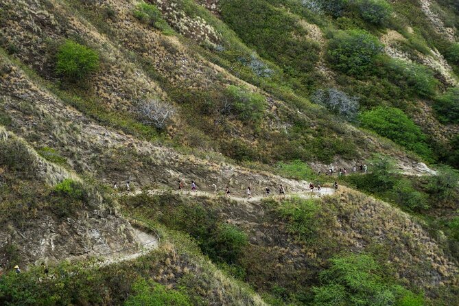 Diamond Head and Manoa Falls Hike and Adventure Tour - Price and value: what $149 covers for a group day