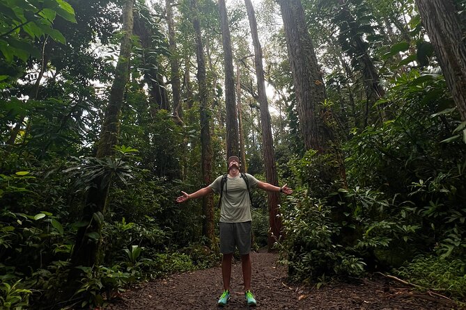 Diamond Head and Manoa Falls Hike and Adventure Tour - Who should book this hike-and-adventure day
