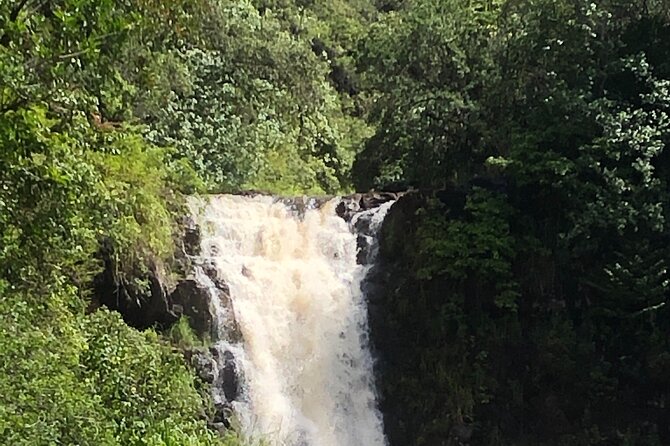 Diamond head crater trail , Sightseeing & South Side beach day - Lunch at local shops: where the day stays authentic