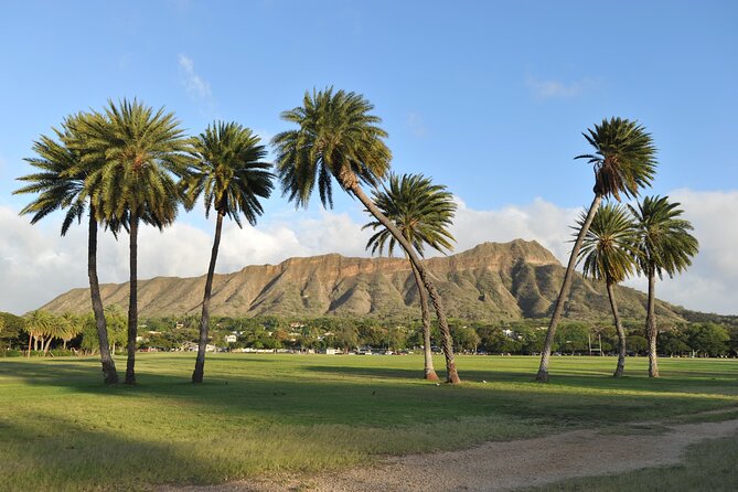 Diamond Head Hiking Experience with Roundtrip Transportation - Driver Help: Friendly, Patient, and Sometimes Extra Useful