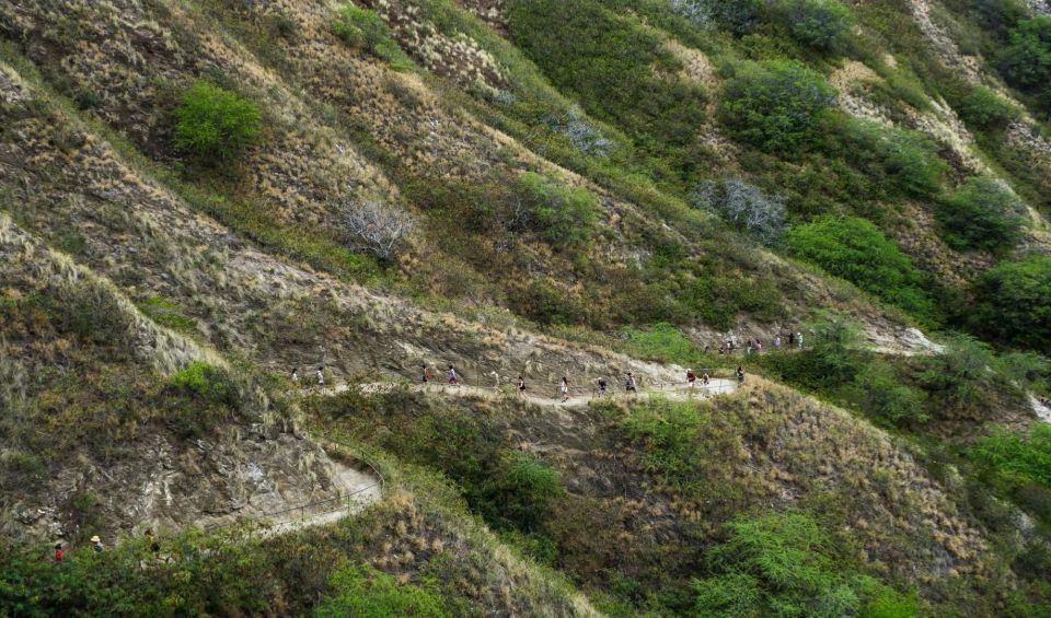Diamond Head Manoa Falls - Practical tips that make the difference on these two trails