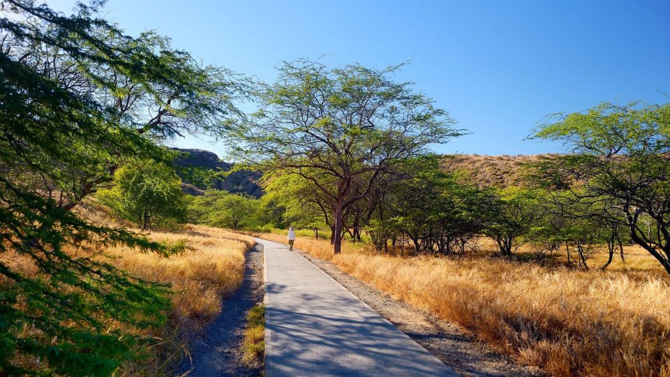 Diamond Head Manoa Falls - Who this private tour is best for