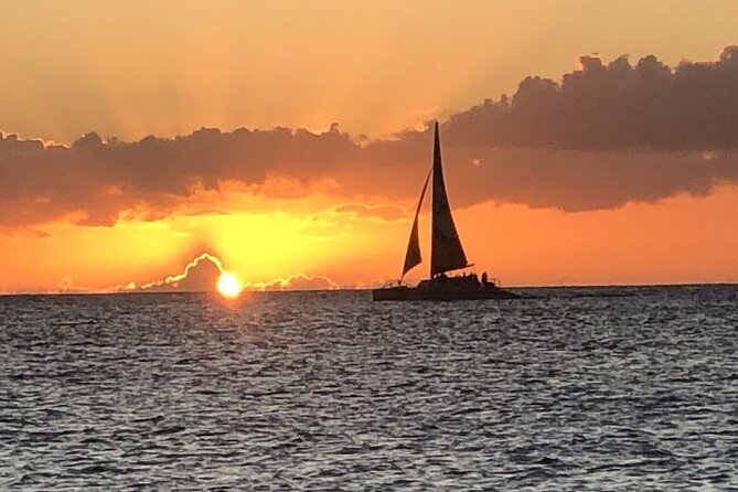 Diamond Head Sunset Sail - Wildlife Spotting: Dolphins, Sea Turtles, and Whales in Season