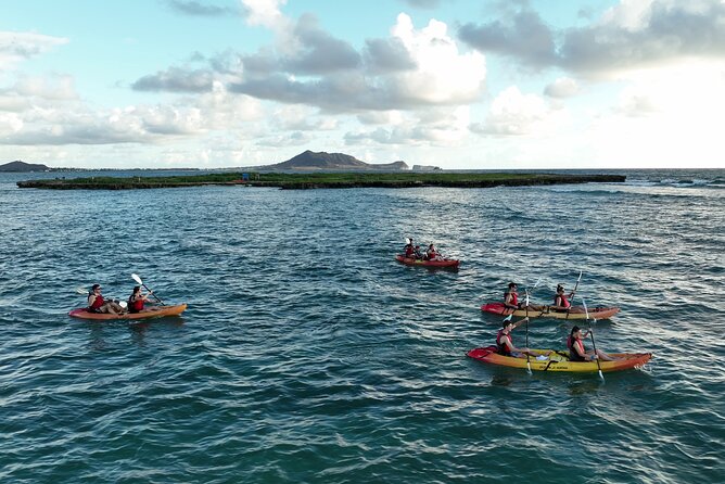 Discover Popoia Island and Kailua Bay by Kayak Guided Tour - Kayaking Kailua Bay toward Popoia Island: sea turtles, fish, and views