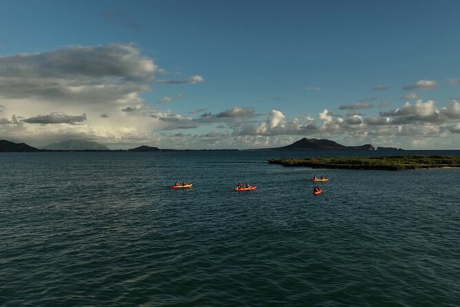 Discover Popoia Island and Kailua Bay by Kayak Guided Tour - Price and value: why $169 can make sense for this specific day