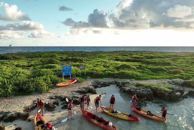 Discover Popoia Island and Kailua Bay by Kayak Guided Tour - Meeting at Active Oahu Tours: gear pickup without the hassle