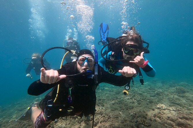 Discover Scuba Diving in Hawaii - Non certified divers! - Learning Scuba Basics the Right Way (Before You Go Under)