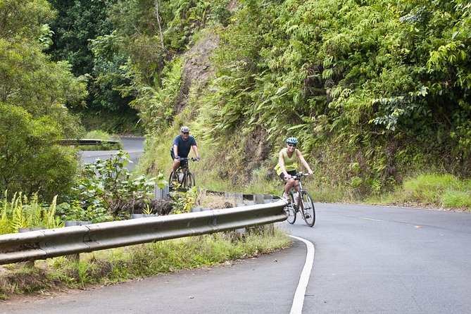 Downhill Bike and Ko'olau Waterfall Hike Tour - Key things I’d notice right away