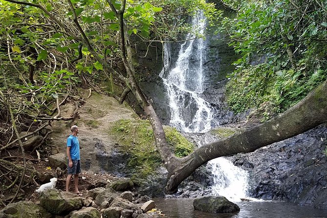 Downhill Bike and Ko'olau Waterfall Hike Tour - The downhill bike ride on KHS cruisers: easy effort, real handling