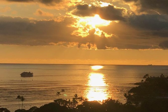 Eco-adventure friendly Aloha Island Tour - Coffee on the North Shore: 7 Acres of Arabica Trees and Easy Tastings