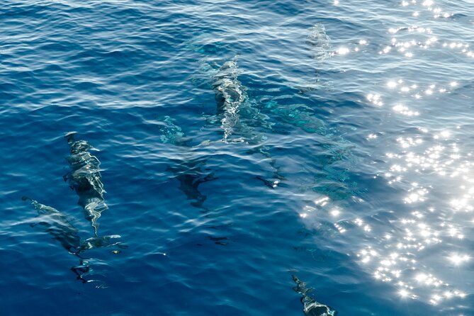 Exclusive Waikiki Yacht Snorkel with Lunch and Bevs - Lunch and drinks: included, onboard, and genuinely filling