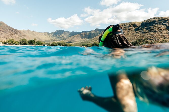 Exclusive Waikiki Yacht Snorkel with Lunch and Bevs - What the “exclusive” part looks like in real life
