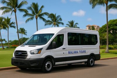 Explore Waikiki: Self Guided tour from Ko Olina with transfers - The Waikiki Drop-Off at Ross Dress for Less: Good Location, Clear Plan