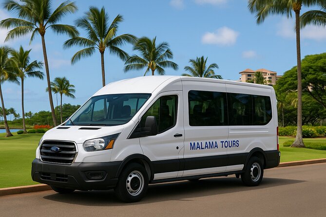 Explore Waikiki: Self Guided tour from Ko Olina with transfers - The Waikiki Drop-Off at Ross Dress for Less: Good Location, Clear Plan