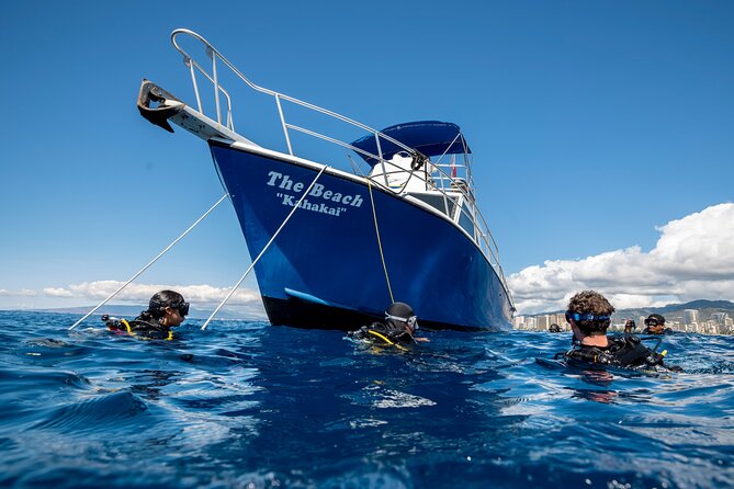 First Time Introductory Scuba Dive - First-Time Scuba on Oahu: What You Actually Learn