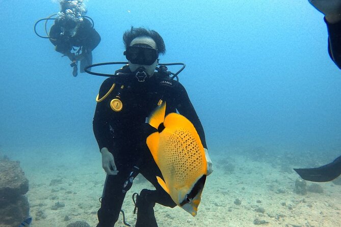First Time Introductory Scuba Dive - Getting Started at 11:00am in Honolulu: Check-In to Clarity