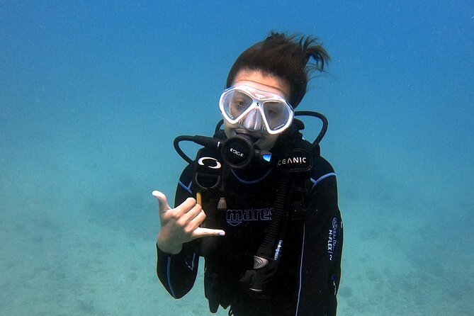 First Time Introductory Scuba Dive - Marine Life Moments: What You Should Look For