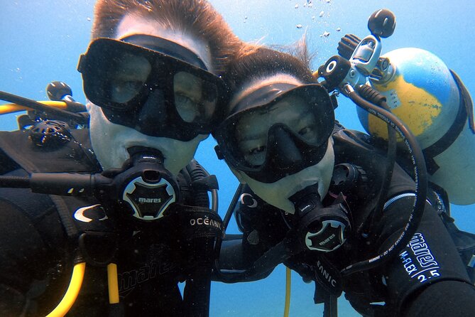 First Time Introductory Scuba Dive - Price and Logistics: The $279 Value Case