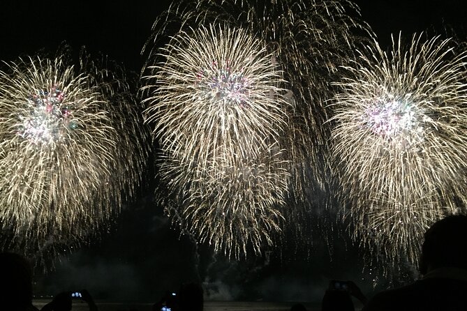 Friday Night Waikiki Fireworks Cruise - Stop 3: Hilton Hawaiian Village fireworks from sea level