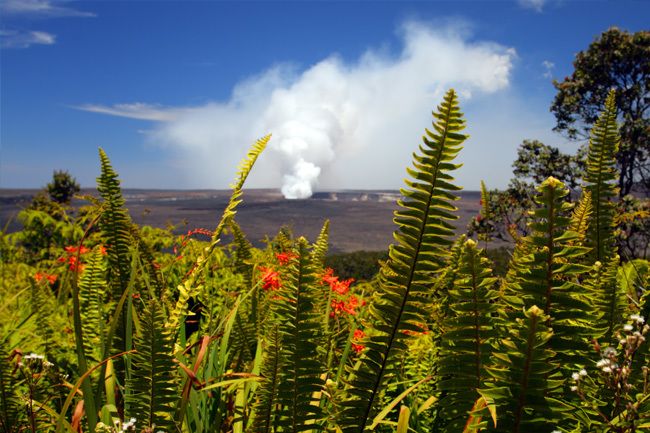 From Oahu: Big Island Volcano Adventure - Black sand beach finale: where lava meets waves