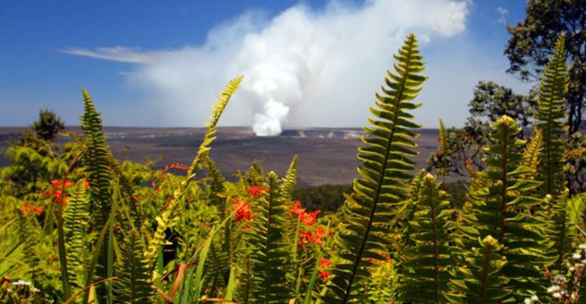 From Oahu: Big Island Volcano Adventure - Nāhuku (Thurston) Lava Tube walk: cool air in an old channel