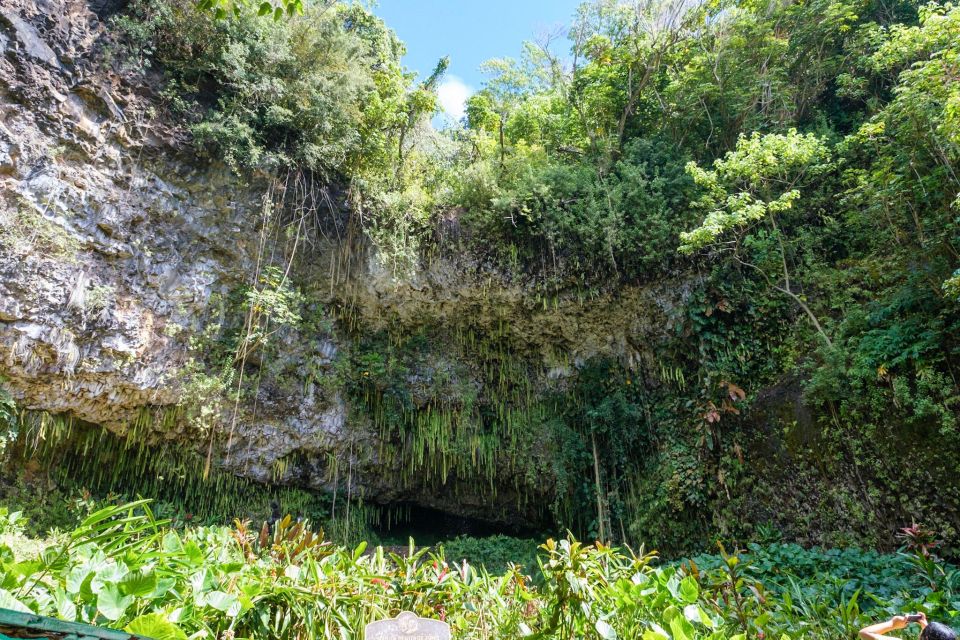 From Oahu: Kauai Waimea Canyon & Wailua River Tour - Value check: is this a good deal for your style of travel?