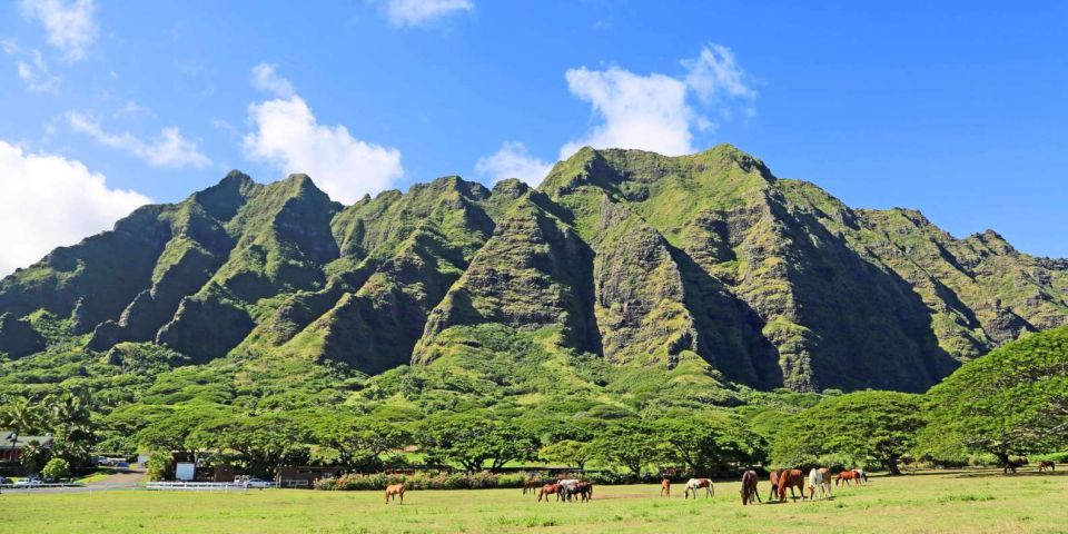 From Waikiki: Circle Island Tour - Why this Circle Island tour works when you only have one day