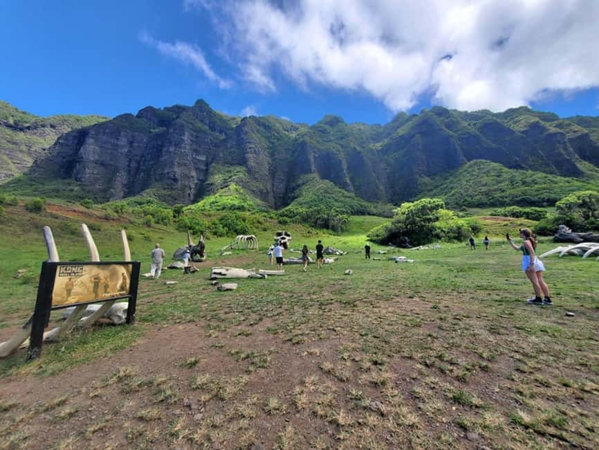 From Waikiki: Oahu Circle Island Tour - Dole Plantation and a Coffee Farm Stop: Snacks, Stories, and Timing