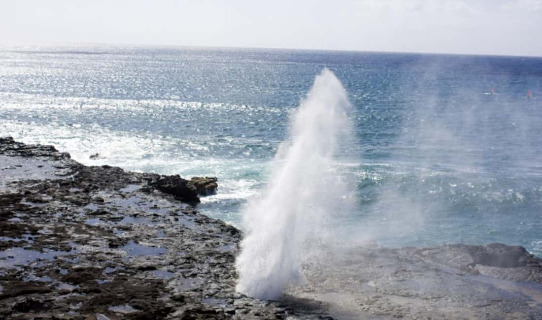 From Waikiki: Oahu Scenic Half-Day Circle Island Tour - Pickup from Waikiki: how the 6:05 AM vs 9:00 AM choice changes your day