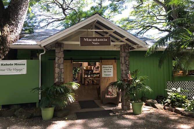 Full-Day Circle Island Guided Tour of Oahu - Halona Blowhole and Makapu‘u Point: quick stops, real photo payoff
