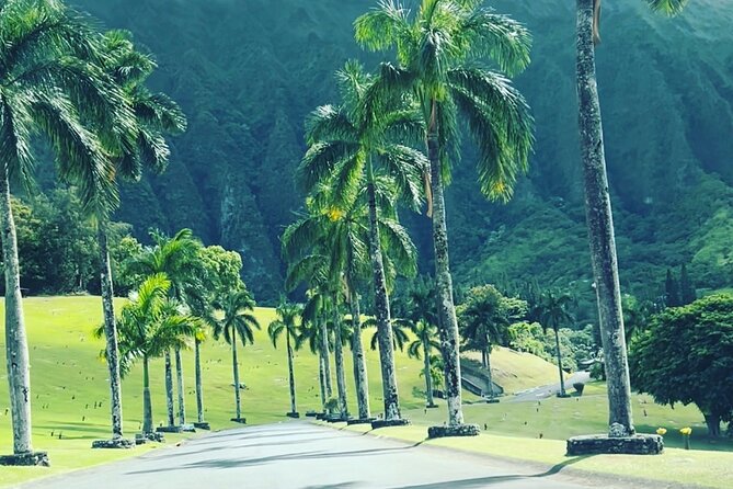 Full-Day Circle Island Guided Tour of Oahu - The North Shore loop: winter surf views plus a lunch break