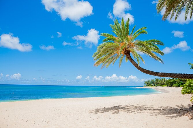 Grand Circle Island Tour - Pickup and van comfort: the part you’ll actually feel