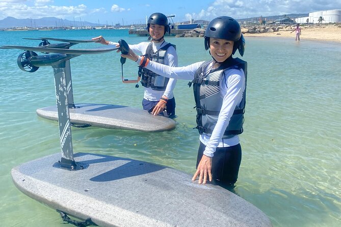 Group of 2 + mid length eFoil experience Honolulu HAWAII - Three 20-minute water runs: your actual riding time