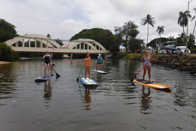 Group Stand Up Paddle Lesson and Tour - Sea Turtles: What To Expect Without Getting Overhyped