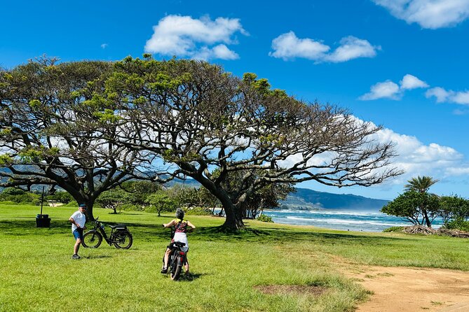 Guided E-Bike Tour in North Shore - Quick hits you’ll care about