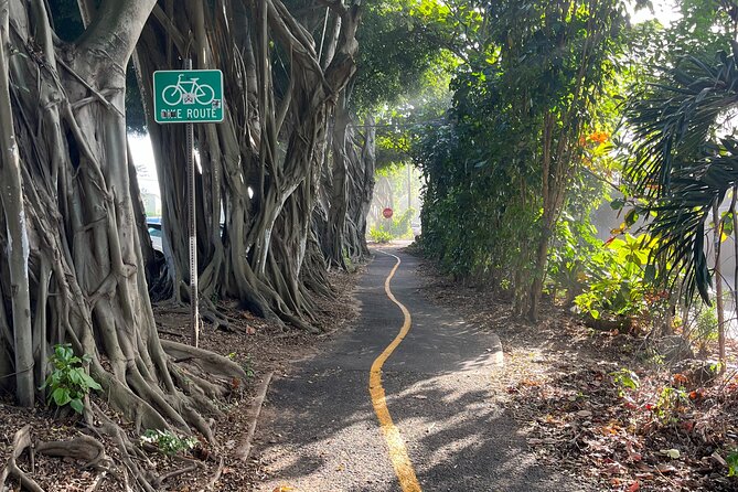 Guided E-Bike Tour in North Shore - Stop 4: Kaiaka Bay Beach Park for calmer-water views
