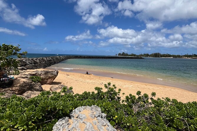 Guided E-Bike Tour in North Shore - What the guide actually adds: safety, fun, and local facts