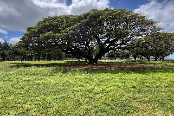 Guided E-Bike Tour in North Shore - E-bike comfort on Oahu: easy pedaling, real control