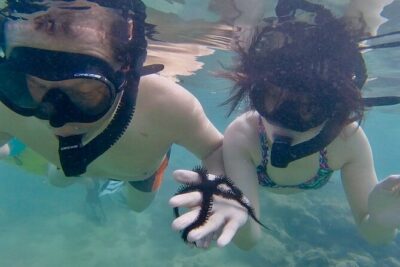 Guided Snorkel Tour for Beginners in Honolulu - Price and value: why $59 can feel like a deal