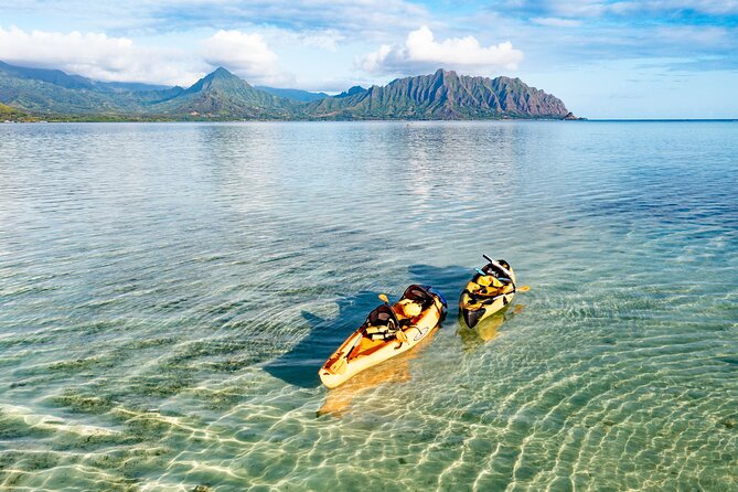 Half-Day Kaneohe Bay Sandbar Self-Guided Kayaking Experience - On Ahu’olaka: snorkeling, sea turtles, and making the most of space