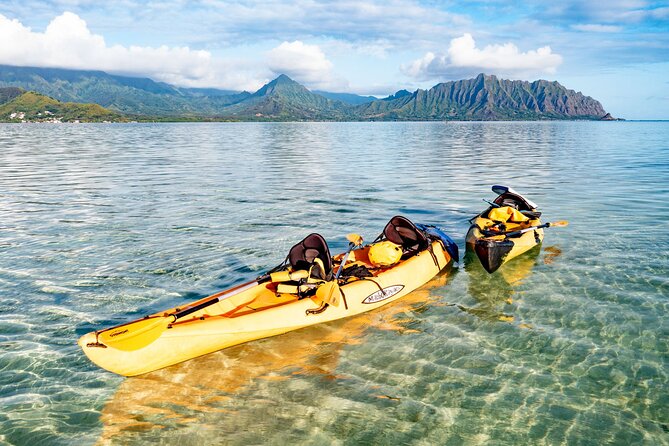 Half-Day Kaneohe Bay Sandbar Self-Guided Kayaking Experience - What can go wrong (and how to stay in control)